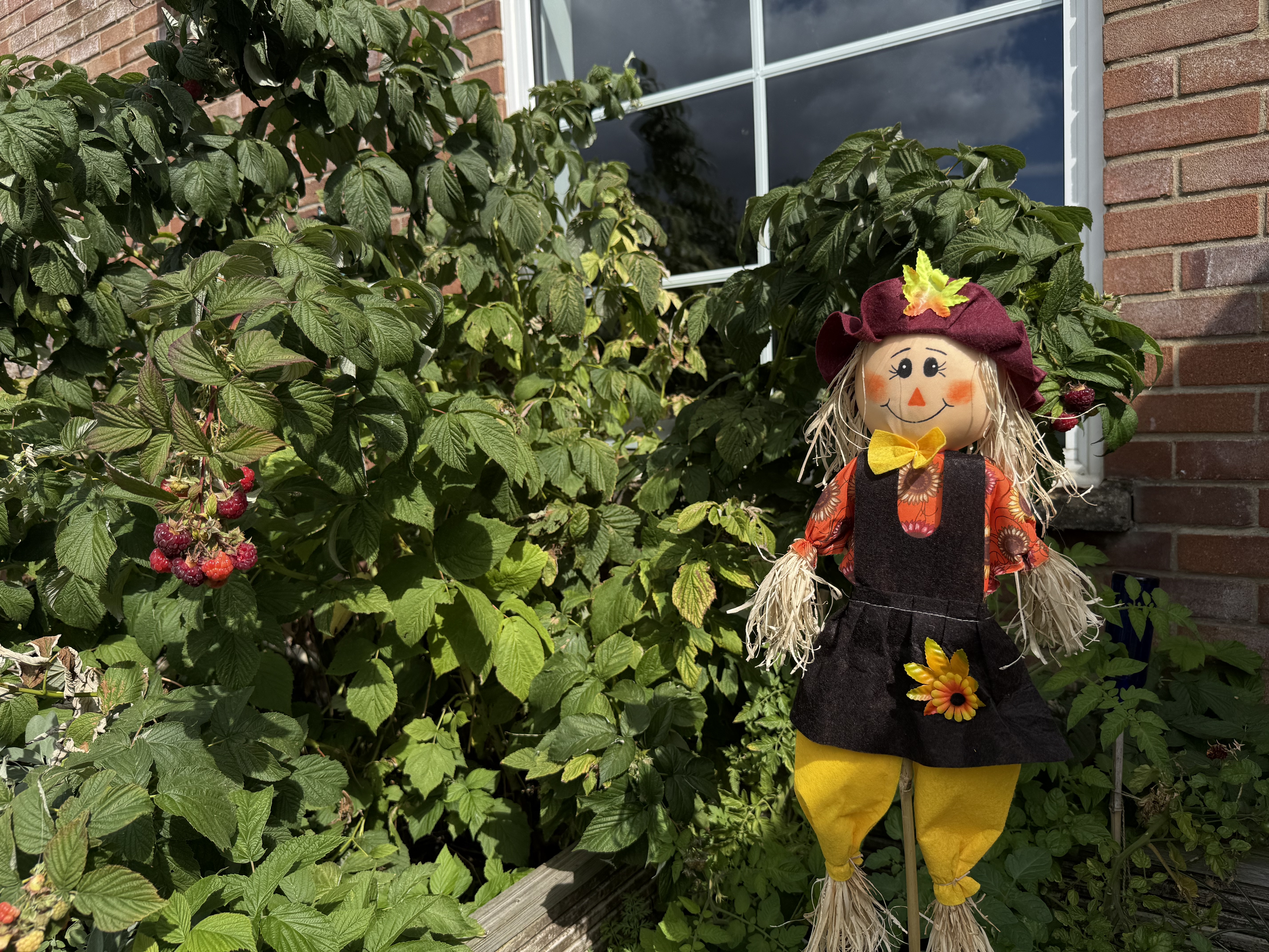 Cute scarecrow