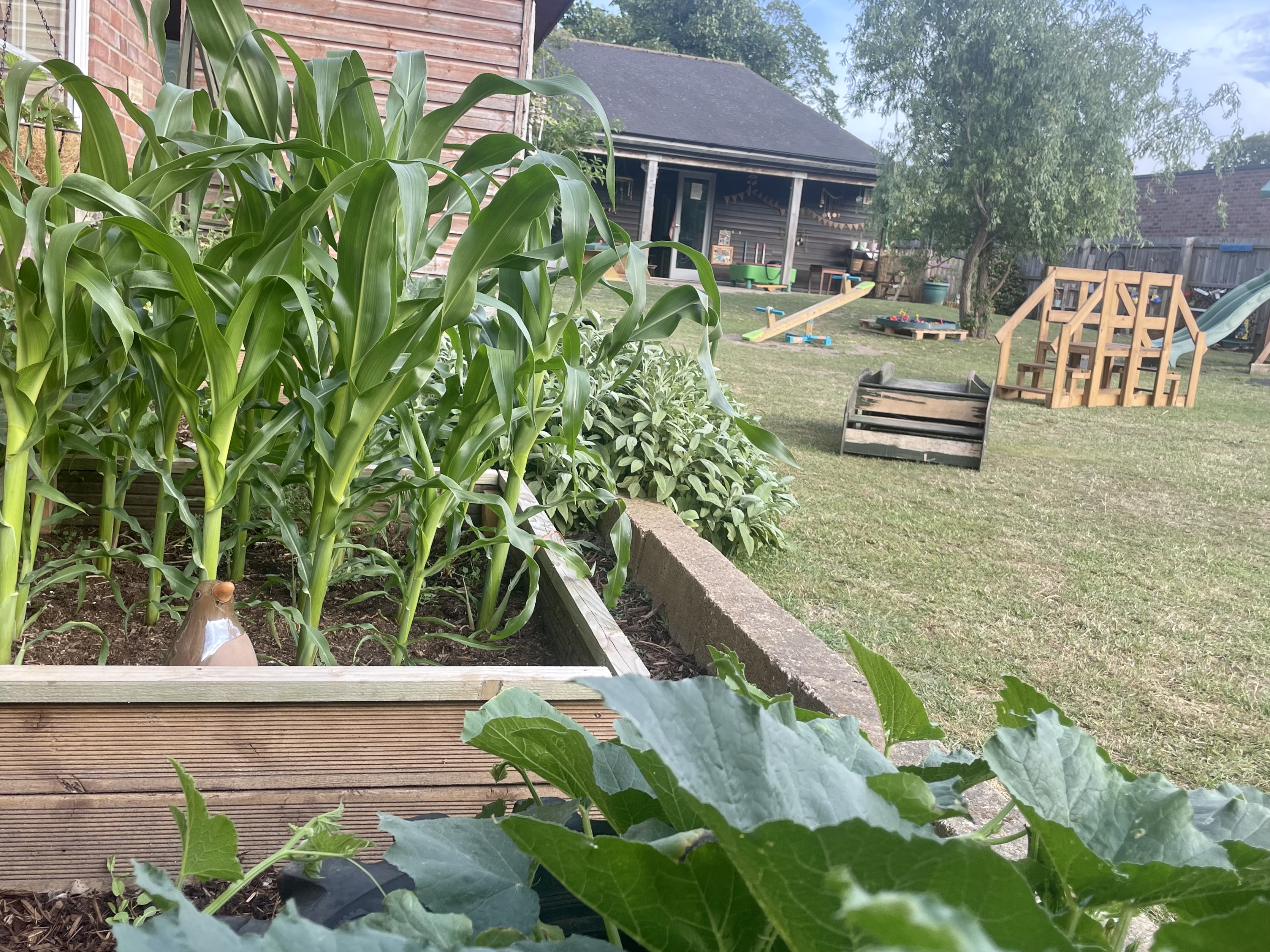 Vegetable patch and school building